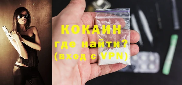шишки Новокубанск