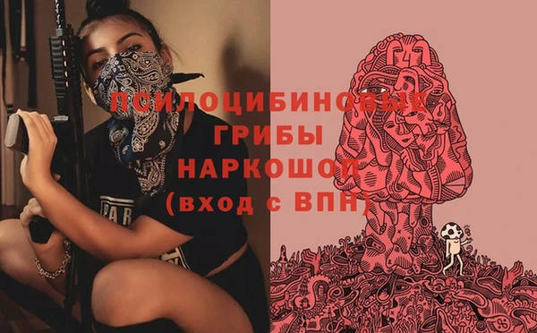 гидропоника Новодвинск