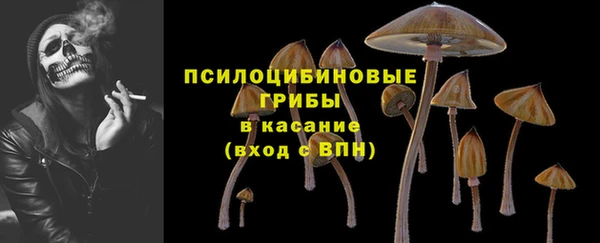 шишки Новокубанск