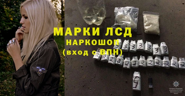 шишки Новокубанск