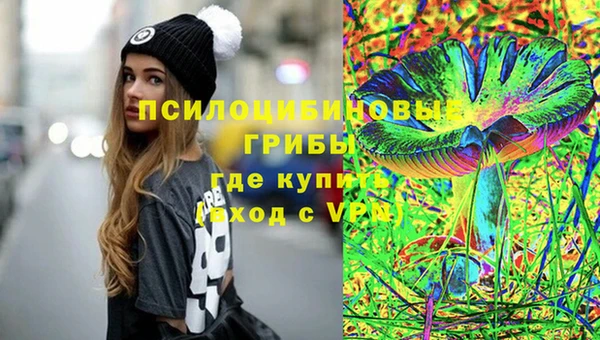шишки Новокубанск
