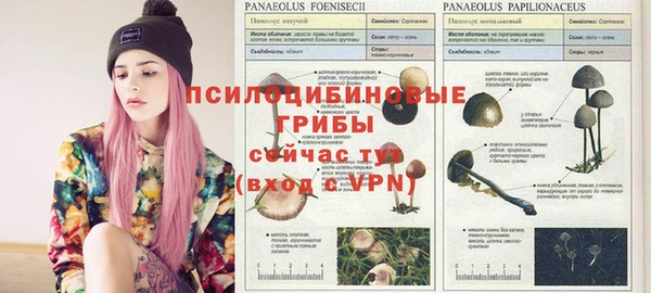 мескалин Новозыбков