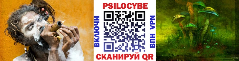 купить закладку  Ряжск  Псилоцибиновые грибы Psilocybine cubensis 